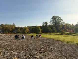 Grupa osób zbierających coś na skalistej powierzchni w słoneczny dzień.