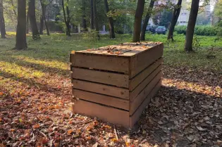 Skrzynia z desek w lesie, otoczona opadłymi liśćmi i drzewami.