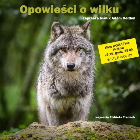 „Opowieści o wilku” – film dokumentalny i spotkanie z leśnikiem