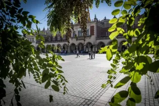 Krakowski rynek z widokiem na Sukiennice, otoczony zielenią.