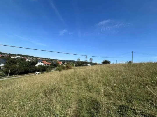 „Zielone Wzgórza na Bielanach – ścieżka doświadczeń”
