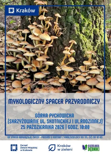 Spacer mykologiczny na Górce Pychowickiej. Uczestnicy poznają tajemnice grzybów