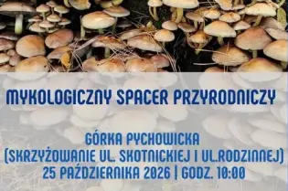 Plakat zapraszający na mykologiczny spacer przyrodniczy w Krakowie, z datą i godziną wydarzenia.