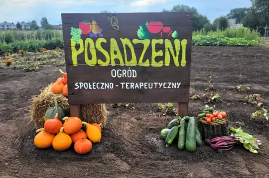 Ogród terapeutyczny z napisem Posadzeni, warzywa i dynie na tle pola.