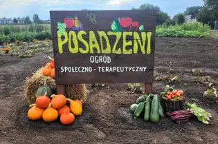 Ogród terapeutyczny z napisem Posadzeni, warzywa i dynie na tle pola.