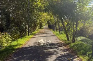 Ścieżka rowerowa otoczona drzewami, z oznaczeniem dla rowerzystów.