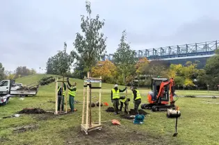 Sadzenie drzew przez pracowników w kamizelkach odblaskowych na terenie zielonym.