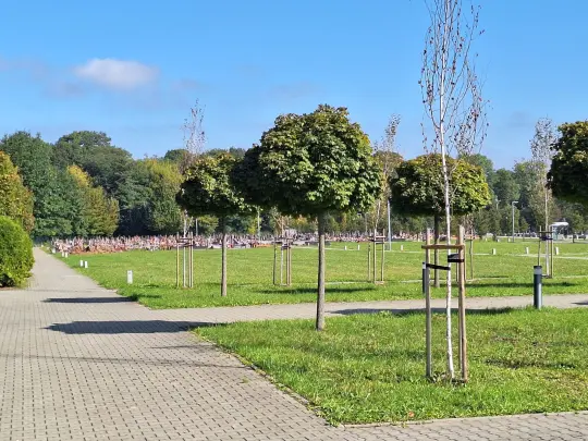 Rosną środki na inwestycje i remonty na cmentarzach komunalnych