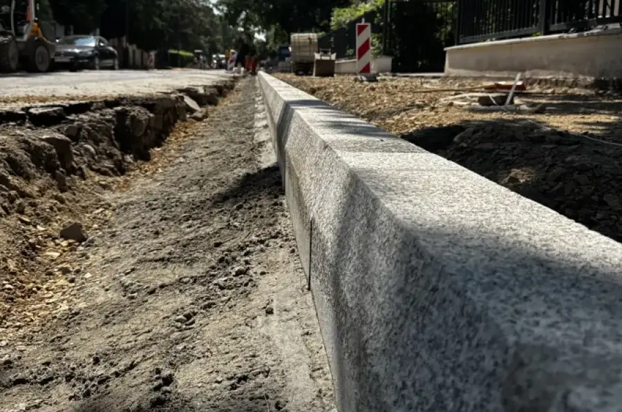 Krawężnik na nowo budowanej drodze, otoczony ziemią i drzewami.