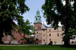 Rok w dwie minuty (zobacz film)